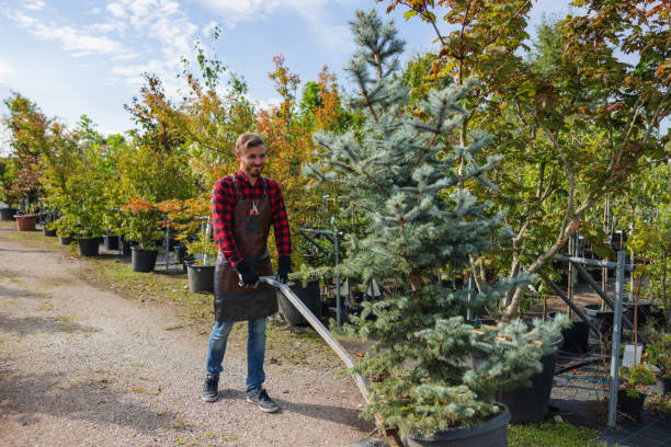 Best Tree and Shrub Care  in Martinsville, NJ